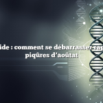 Réponse rapide : comment se débarrasser rapidement des piqûres d’aoûtat